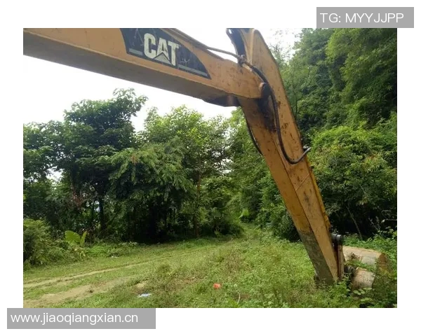 都灵希望之星遭遇重伤719天身价暴跌至250万的悲惨命运